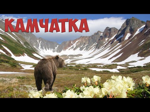 Видео: Камчатка Видеоклип на песню А.Полотно и Ф.Карманова - "Камчатка"