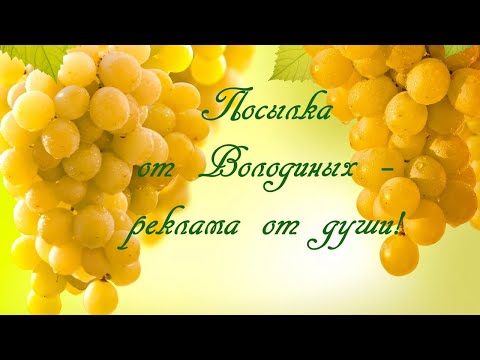 Видео: Посылка от Володиных – реклама от души!