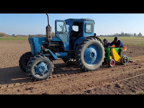 Видео: Трактор Т-40  на посадке чеснока