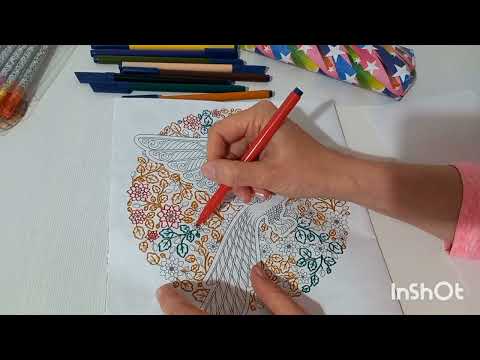 Видео: Раскраска "Попугай" 1 часть