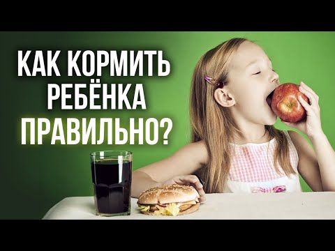 Видео: Правильное питание ребёнка – залог здоровья! / Памятка для родителей