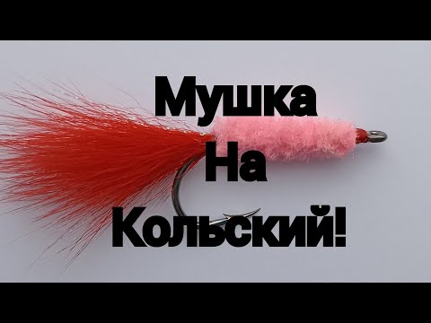 Видео: Муха на Горбушу!