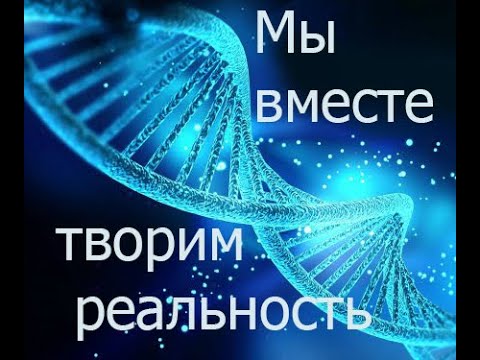 Видео: Мы вместе творим реальность. 24.11.2021
