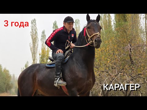 Видео: КАРАГЕР   3 года  Ноокат  Калинин  айылы 