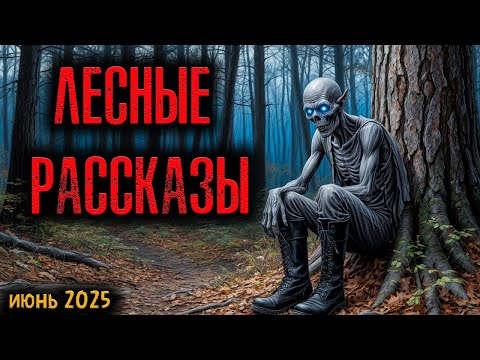 Видео: ЛЕСНЫЕ РАССКАЗЫ | Страшные истории