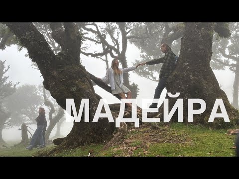 Видео: Мадейра зимой: побег к весне | Часть 1