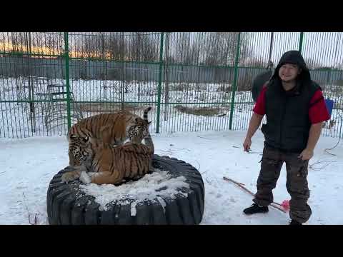 Видео: Инфинити и Тесла ! 3 Года !
