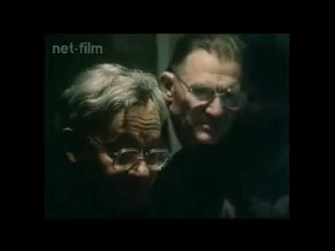 Видео: николаевские голуби наше счастливое голубиное детство приятного просмотра