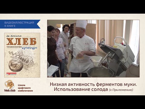 Видео: Низкая активность ферментов муки  Использование солода