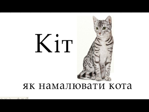 Видео: Кіт, як намалювати красивого поетапно, малюємо кота простим олівцем