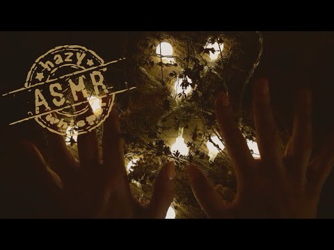 Видео: • АСМР •  Шепот • Странные истории  • Страшилки летнего лагеря  •