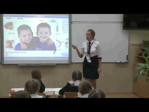 Видео: Урок русского языка, Стафейкова В. С., 2018