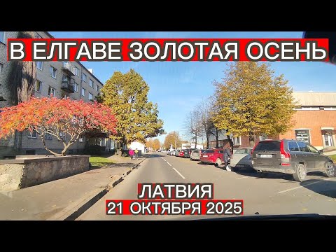 Видео: В ЕЛГАВЕ ЗОЛОТАЯ ОСЕНЬ 21 ОКТЯБРЯ 2025