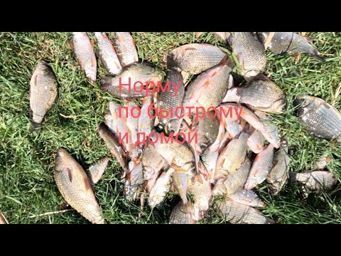 Видео: о.Ботакара, утренняя рыбалка. Оторвались,душу успокоили и домой.