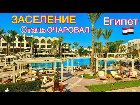 Видео: Египет 🇪🇬 ЗАСЕЛЕНИЕ в НОВЫЙ отель Jaz Makadi Star & SPA 5* БЕЗВЕТРЕННАЯ БУХТА Макади Бей ХУРГАДА
