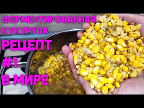 Видео: ФЕРМЕНТИРОВАННАЯ "ПЬЯНАЯ" КУКУРУЗА. РЕЦЕПТ #1 В МИРЕ #ферментировнаякукуруза #пьянаякукуруза #карась