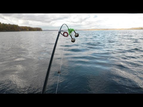 Видео: Безумная Рыбалка осенью 2018. Эти Рыбины рвут поводки. Мощные поклёвки Голавля и Язя