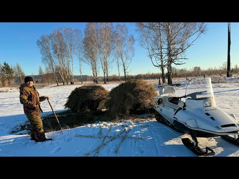 Видео: ЗИМНИЙ СЕНОКОС. ВЫВОЗИМ ОСТАТКИ СЕНА С ПОКОСА НА СНЕГОХОДЕ.