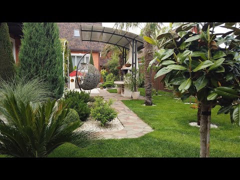 Видео: Мой сад в мае, в зоне 6