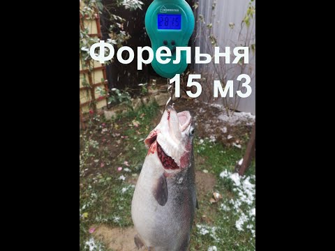 Видео: Форельня, совершенству нет предела