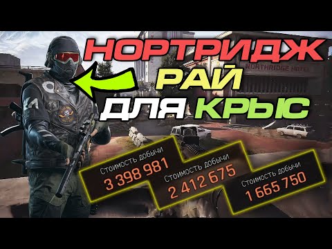 Видео: Тактика КРЫСА - это лучшая тактика для СОЛО игрока в игре Arena Breakout: Infinite (Много лута)