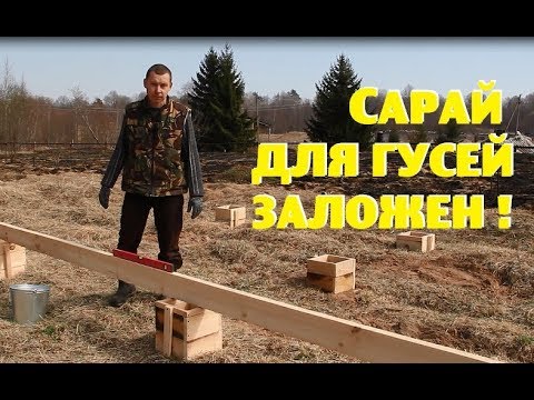 Видео: "Олигархи из Лондона" заложили мне гусятник!