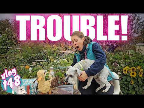 Видео: Эпизод 148: Беспорядки на приусадебном участке и грандиозные успехи!