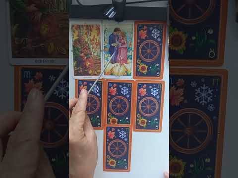 Видео: Дева. Таропрогноз на октябрь