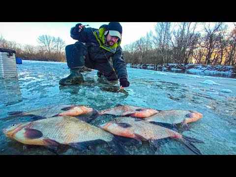 Видео: Зимова Рибалка на ляща, Пасивний Лящ на мормишку та на микало, Рибалка 2023