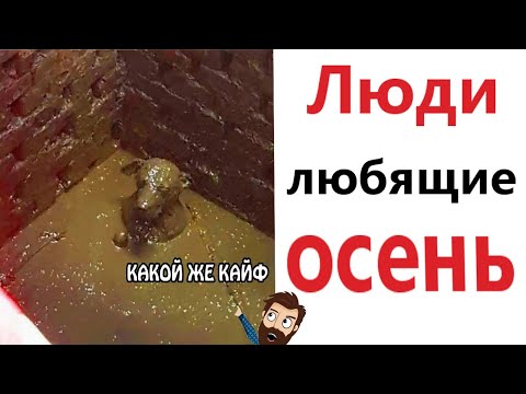 Видео: Приколы! 😱 ЛЮДИ ЛЮБЯЩИЕ ОСЕНЬ! Смешные видео - Доми шоу!