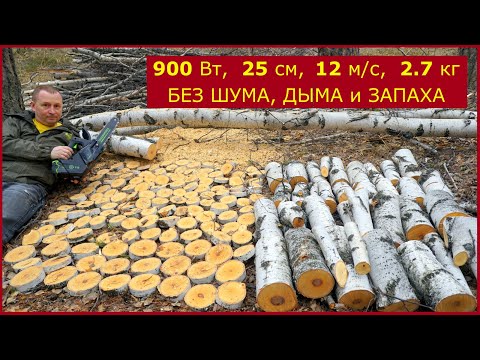 Видео: Маленькая однорукая цепная пила 40V Арбориста Greenworks TCS