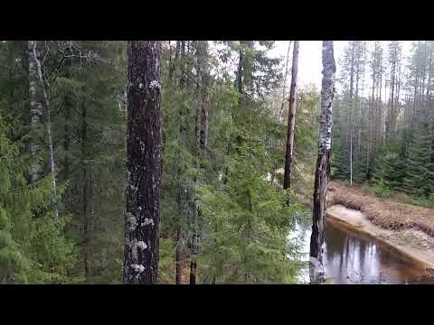 Видео: Бойтесь больных на голову