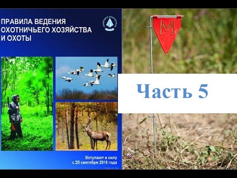 Видео: Белорусские Правила охоты 2018 - минное поле установлено. Часть 5