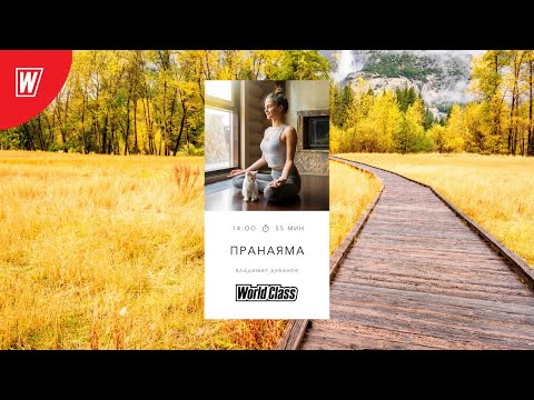 Видео: ПРАНАЯМА с Владимиром Дувановым | 31 октября 2020 | Онлайн-тренировки World Class