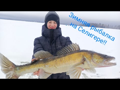 Видео: Зимняя рыбалка на оз. Вселуг!!