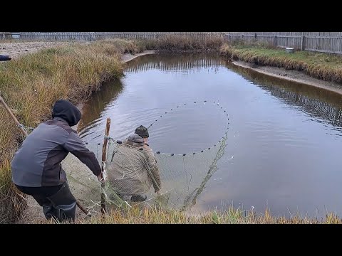 Видео: Лучший способ ловли рыбы на зиму в домашнем пруду