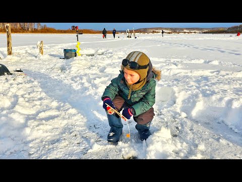Видео: ОН ВСЕХ ОБЛОВИЛ! МУЖИКИ В ШОКЕ! Рыбалка на  страшную рыбу в начале года
