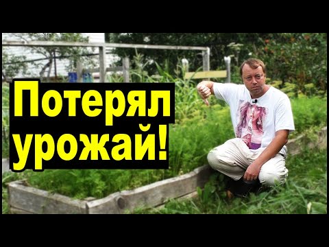 Видео: Потерял урожай из-за мульчи! Не повторяйте моих ошибок