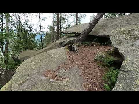 Видео: Підйом на гору Маковиця 14 червня 2025 року.