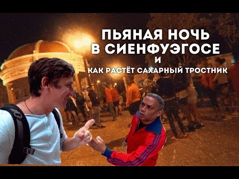Видео: ПЬЯНАЯ НОЧЬ В СИЕНФУЭГОСЕ.  Как пьют на Кубе и где растёт сахарный тростник.