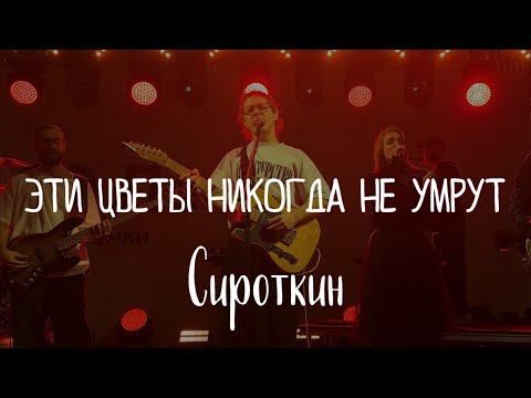 Видео: Сироткин feat. Marytale – Эти цветы никогда не умрут (live @ Химки, 30.11.2024)
