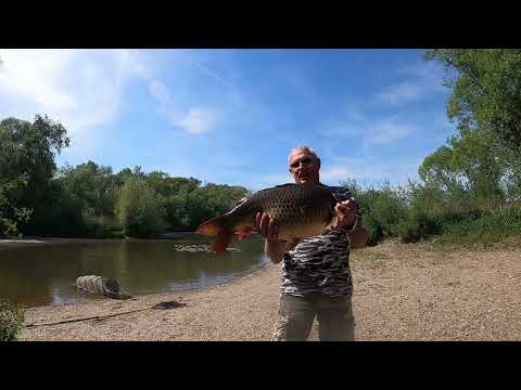 Видео: Неожидал, такого клева на Майне.