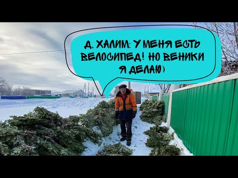 Видео: Дед собирает Веники на велосипеде| Бизнес на вениках|сельские заработки