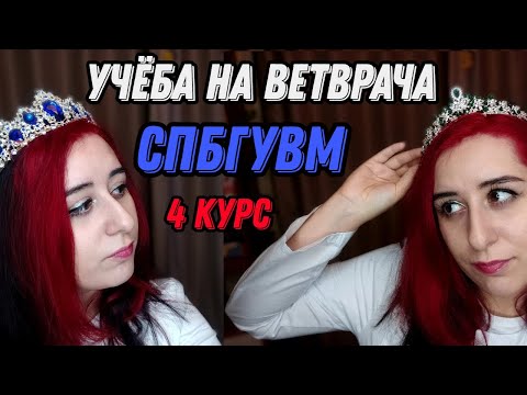 Видео: Учеба на ветврача: 4 курс СПбГУВМ+наука для студентов+конкурсы красоты+стипендия РСХБ+конкурс МСХ