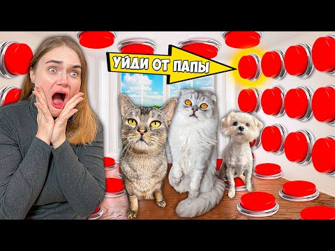 Видео: КОТЫ УПРАВЛЯЮТ МОИМ ДНЁМ С ПОМОЩЬЮ КНОПОК 24 ЧАСА