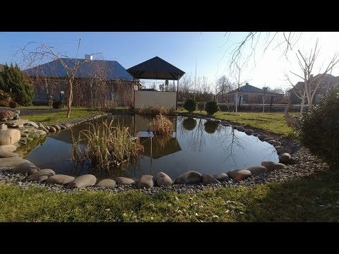 Видео: Як перезимував ставок і риба? Фільтрування води, відповіді на запитання