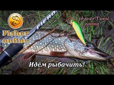 Видео: Fisher Online - Посидим, порыбачим!) \ Общение # 449