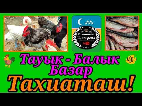 Видео: ТАУЫК.- БАЛЫК БАЗАР 20.10.24ж.#тахиаташ#каракалпакистан#бахалары#цены#куры#кролики#цыплята#перепелки