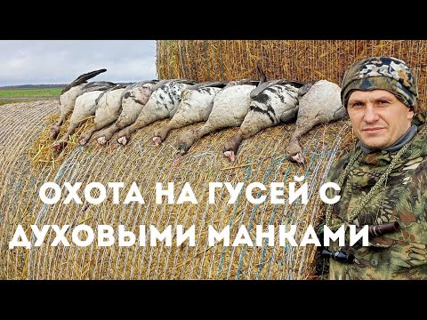 Видео: Охочусь на гуся один с духовыми манками. Осенняя охота на гуся.