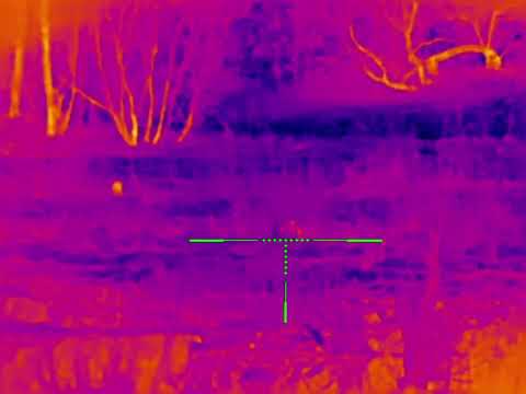 Видео: iRay scp 19w первый опыт